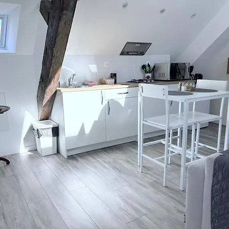 L'ours De Bis * Colmar