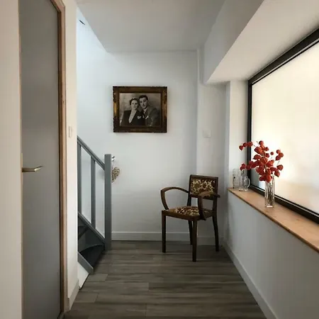 L'ours De Bis * Colmar