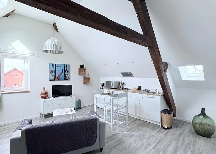 Apartman L'ours De Bis Colmar