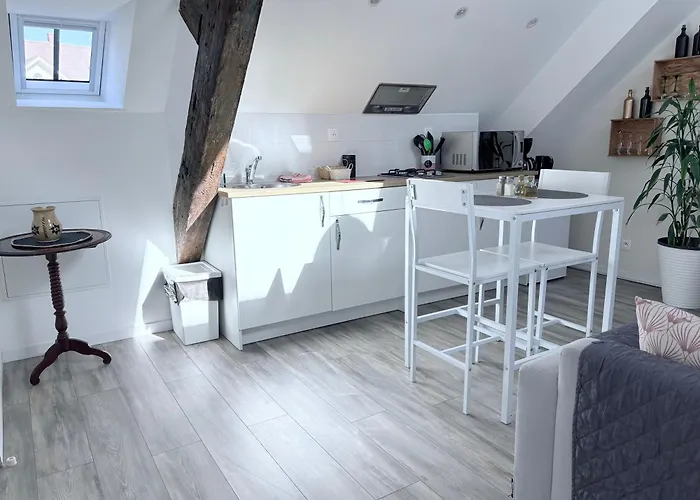 L'ours De Bis * Colmar