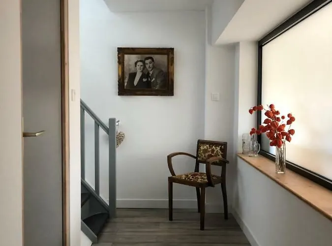 L'ours De Bis * Colmar